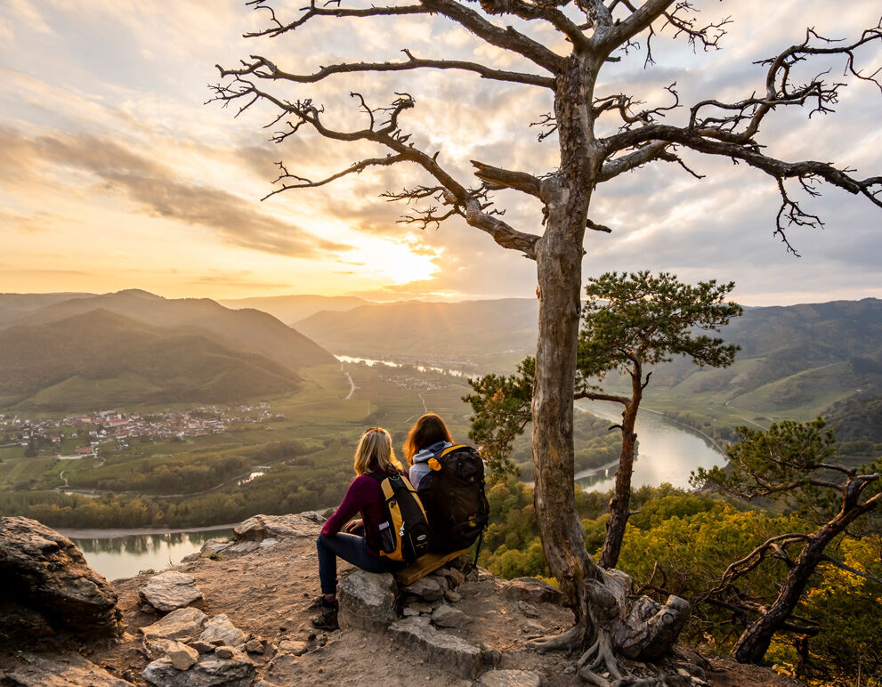Dürnstein von der Kanzel / Foto: Donau Niederösterreich-Robert Herbst