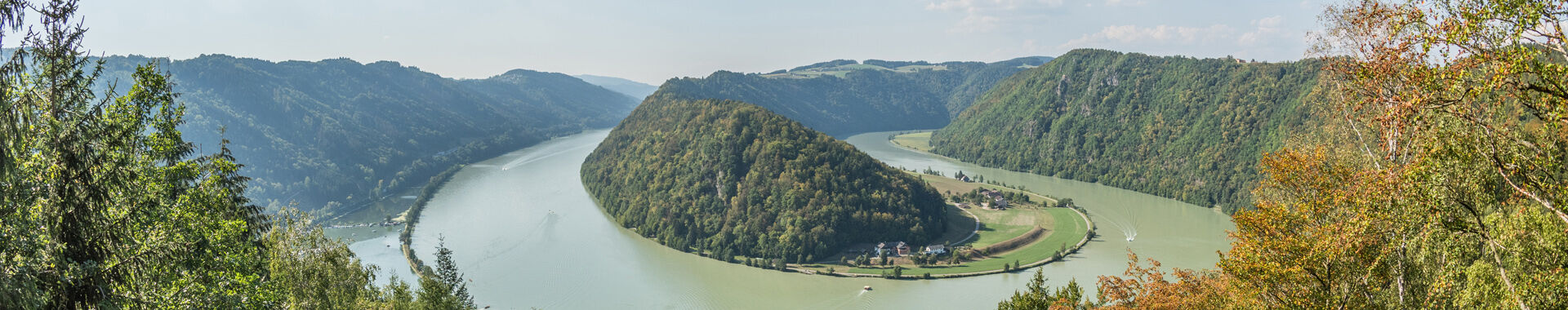 Ausblick auf die Schlögener Schlinge